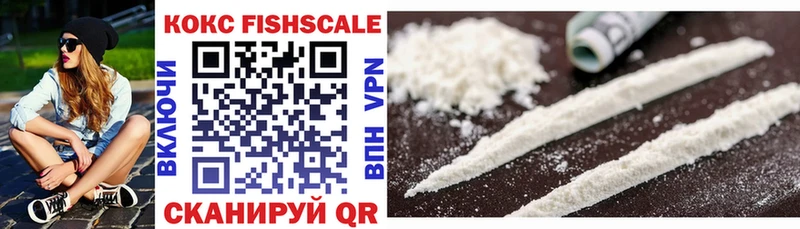 Купить закладки  Ленинск-Кузнецкий  COCAIN Fish Scale 