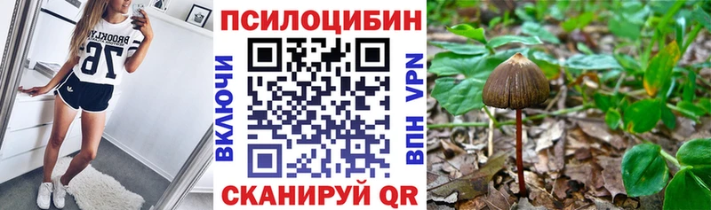 Псилоцибиновые грибы прущие грибы  Купить закладки  Ленинск-Кузнецкий 